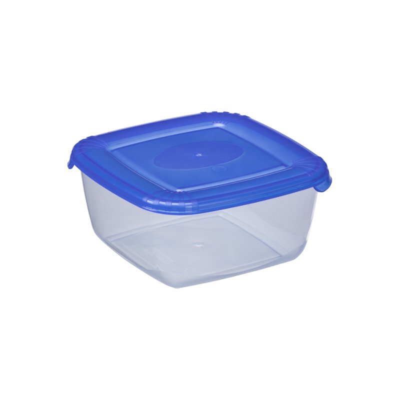 Plast Team Boîte congélation plastique, bleu, 2,5 litres, carré